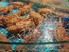 -驻海渔市(置信店)