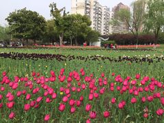 -大宁灵石公园西门票处