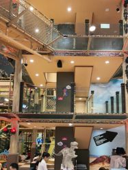 -卡通尼·Safari非洲探索乐园·生日会(金桥国际商业广场店)