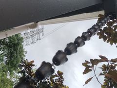 -恬阿姨庭院餐厅·生日宴