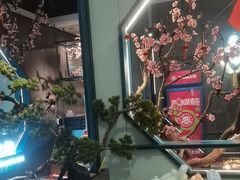 -老板恋上鱼(振华商厦店)
