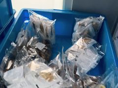 -来噻布布 Lets BUBU