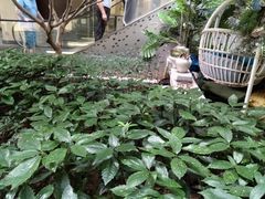-瑞虹新天地月亮湾