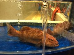 -海景壹号大酒店(滨湖店)