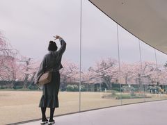 -金泽21世纪美术馆