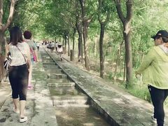 -十渡高山漂流