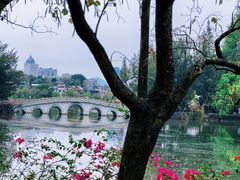 -星湖旅游景区七星岩