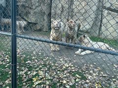 -北京野生动物园
