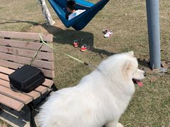 -上海长兴岛郊野公园