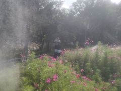 -五缘湾湿地公园