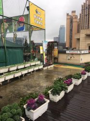 -梦田都市农场(银泰城店)