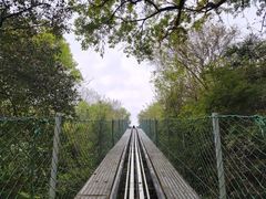 -古隆中景区
