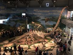 -自贡恐龙博物馆