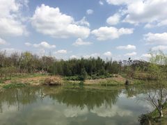 -白鹭湾湿地公园