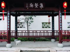 -江心屿景区
