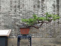 -佛山梁园