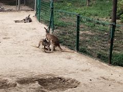 -石家庄市动物园