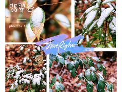 -黄山翡翠谷景区