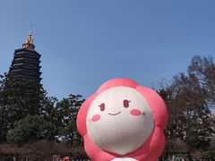 -红梅公园