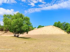 -塞罕坝国家级自然保护区