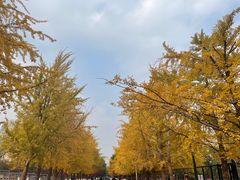 -辽宁大学(崇山校区)