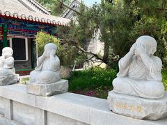 -天津大悲禅院