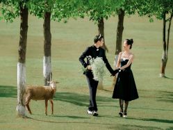 -金夫人婚纱摄影