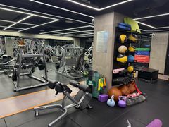 -健身专家Wellness Experts