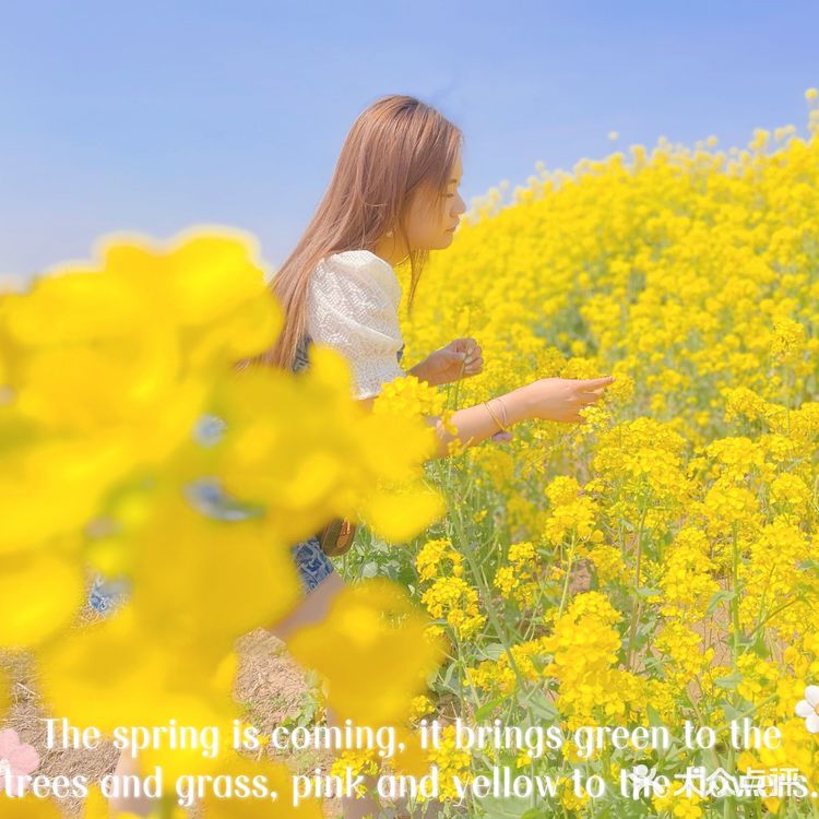 在天津也有【故事里的小黄花🌼】人少景美不要票！