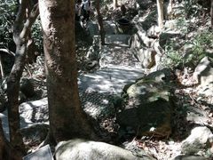 -梧桐山风景名胜区