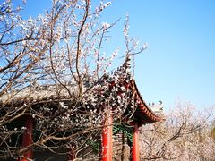 -长春市南湖公园