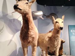 -中国湿地博物馆