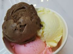 免费冰淇淋-麦雪尔甜品·生日蛋糕(新街口旗舰店)