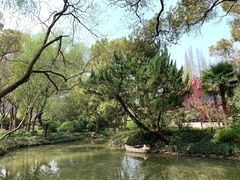 -上海醉白池公园