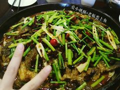 老板恋上鱼-老板恋上鱼(环山路店)