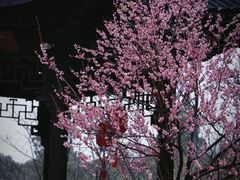 -无锡梅园公园