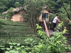 -杭州开元森泊度假乐园