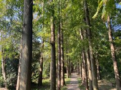 -上海长兴岛郊野公园