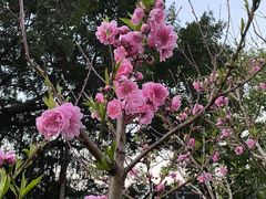 -乌山风景区