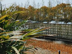 -观宴·品质赣菜(高新大道店)