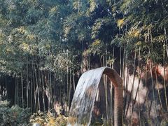 -和顺柏联温泉