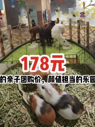 -七巧国萌宠乐园(龙湖天街店)
