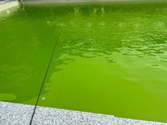 -DGE季风钓虾营地·团建·聚会