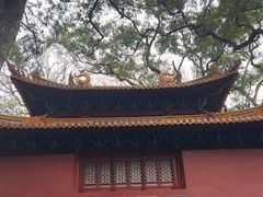 -普陀山风景名胜区-法雨禅寺