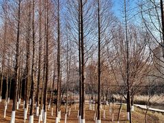 -前关湿地公园