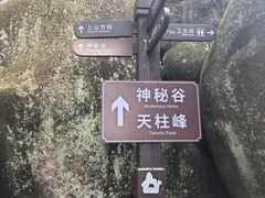 -天柱山风景区