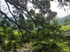 -石台牯牛降景区