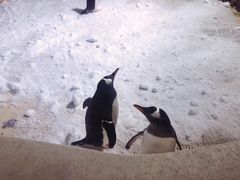 -成都浩海立方海洋公园