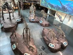 -安徽省地质博物馆