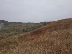 -恋山坝上草原